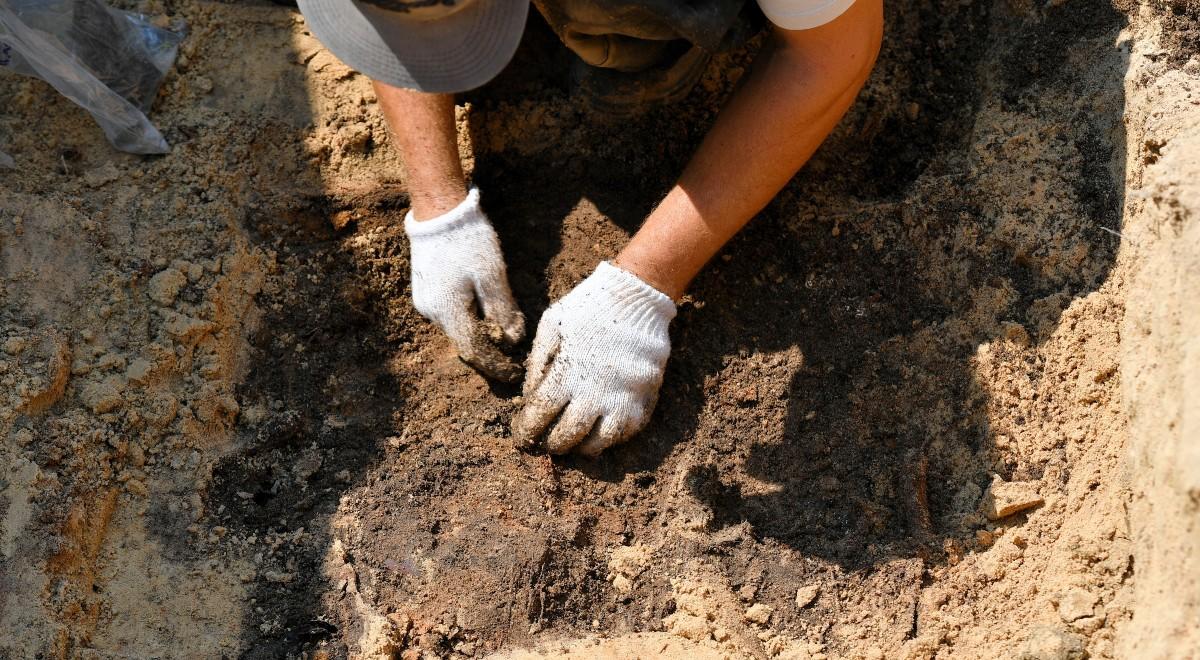 Prace ekshumacyjne w "Dolinie Śmierci". Badacze zidentyfikowali kurierkę Armii Krajowej