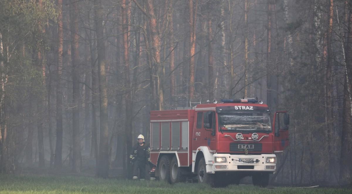 Najwyższy stopień zagrożenia pożarowego w większości lasów w Polsce. Ponad sto interwencji