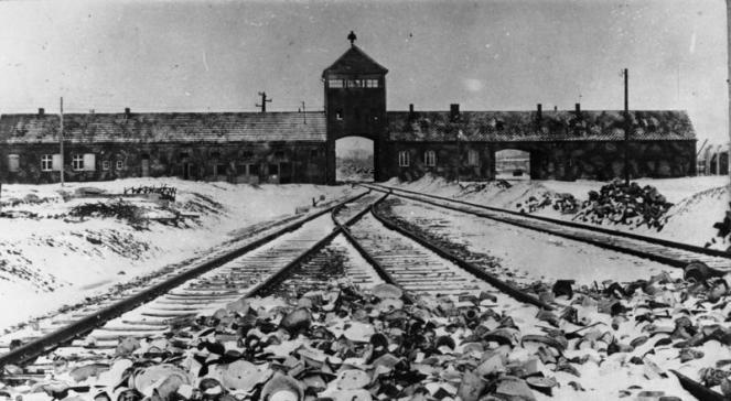 Brytyjski historyk o Holokauście: to nie była niewiedza, tylko zła wola