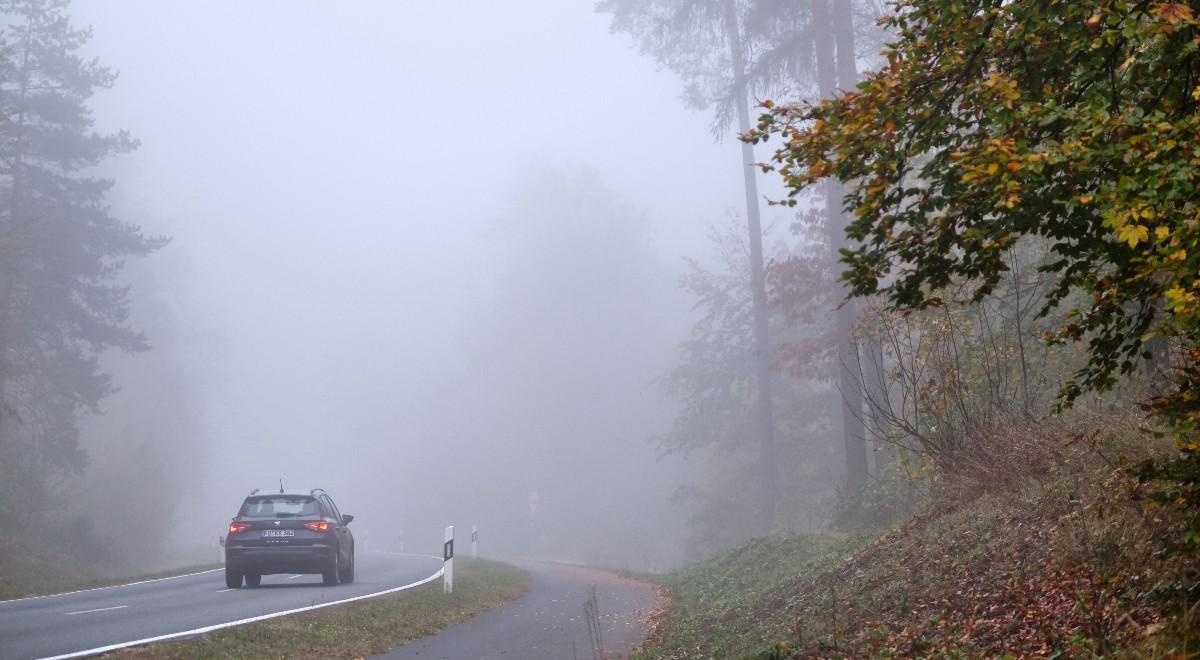 IMGW: ostrzeżenia przed gęstą mgłą niemal dla całego kraju